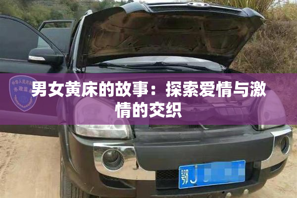 男女黄床的故事：探索爱情与激情的交织