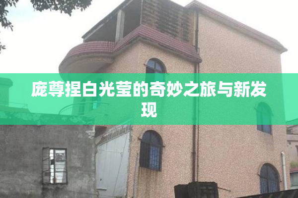 庞尊捏白光莹的奇妙之旅与新发现