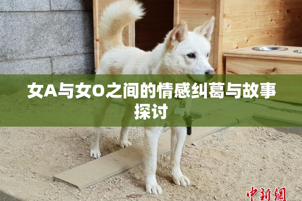 女A与女O之间的情感纠葛与故事探讨