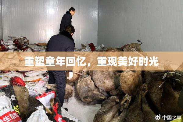 重塑童年回忆，重现美好时光