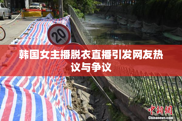 韩国女主播脱衣直播引发网友热议与争议