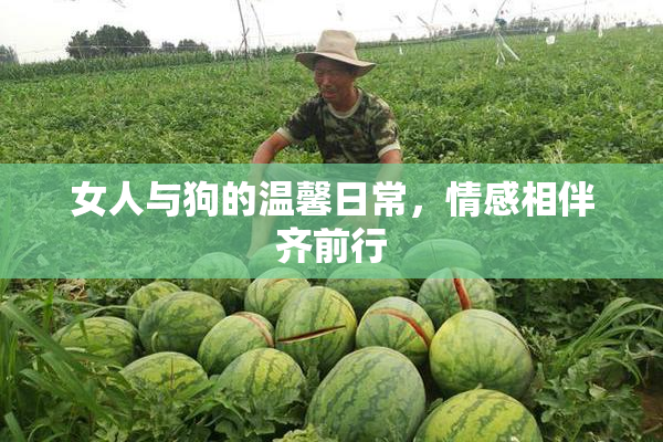 女人与狗的温馨日常，情感相伴齐前行
