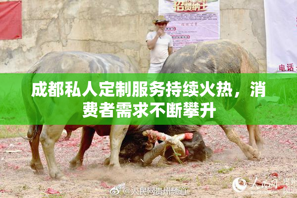 成都私人定制服务持续火热，消费者需求不断攀升