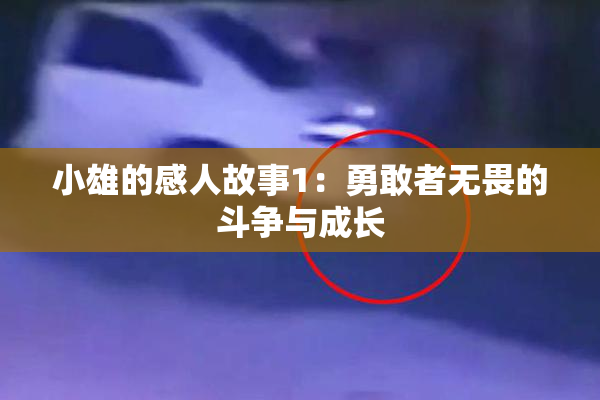 小雄的感人故事1：勇敢者无畏的斗争与成长