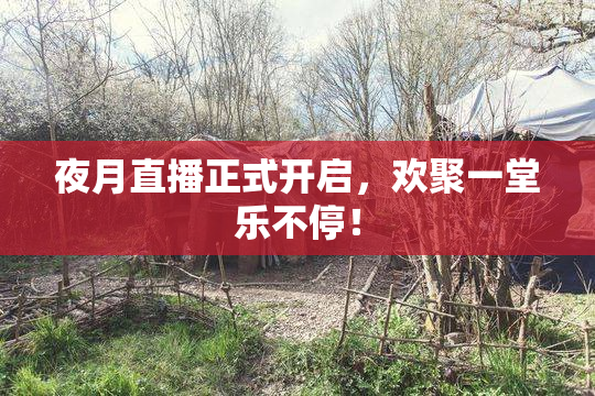 夜月直播正式开启，欢聚一堂乐不停！