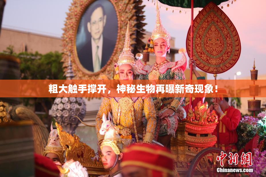 粗大触手撑开，神秘生物再曝新奇现象！