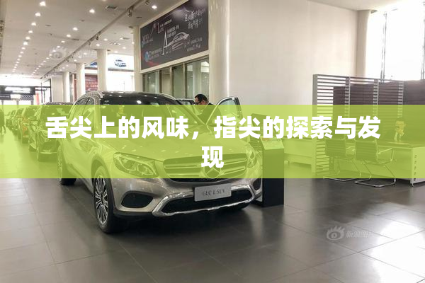 舌尖上的风味，指尖的探索与发现