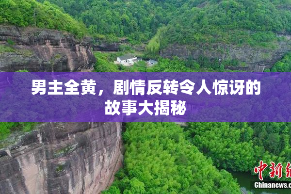 男主全黄，剧情反转令人惊讶的故事大揭秘