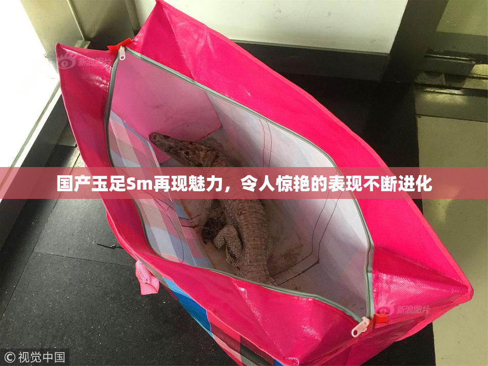 国产玉足Sm再现魅力，令人惊艳的表现不断进化