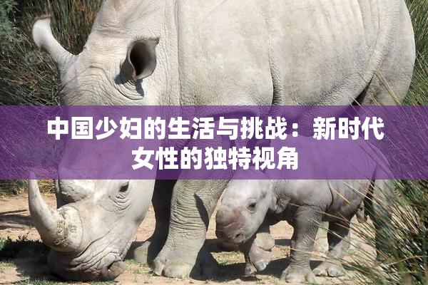 中国少妇的生活与挑战：新时代女性的独特视角