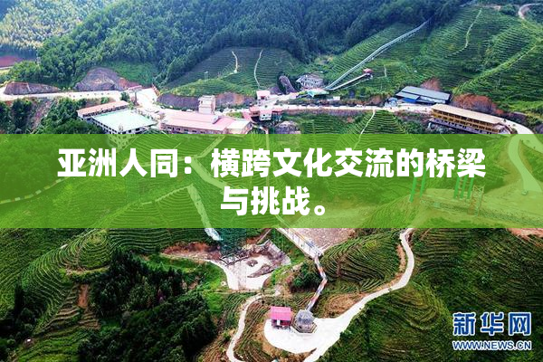 亚洲人同：横跨文化交流的桥梁与挑战。