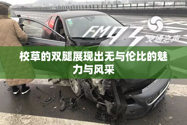 校草的双腿展现出无与伦比的魅力与风采