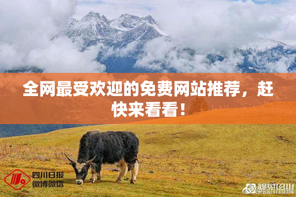 全网最受欢迎的免费网站推荐，赶快来看看！