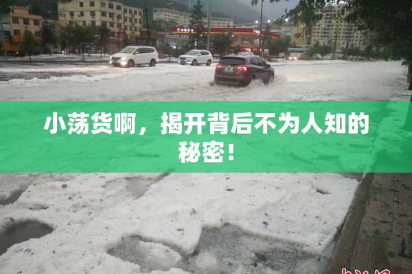 小荡货啊，揭开背后不为人知的秘密！