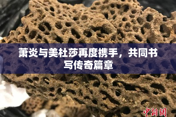 萧炎与美杜莎再度携手，共同书写传奇篇章