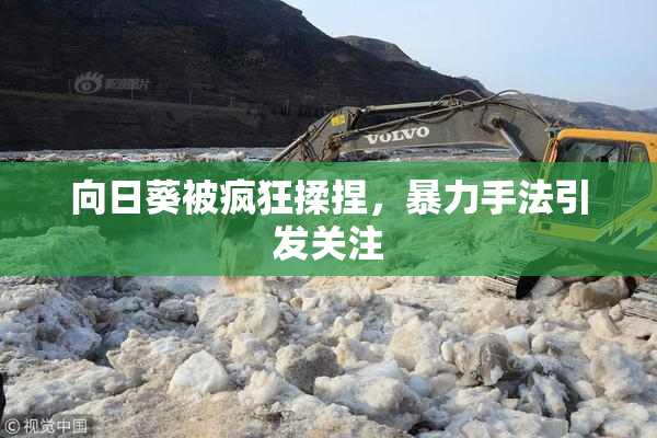 向日葵被疯狂揉捏，暴力手法引发关注