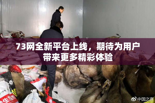 73网全新平台上线，期待为用户带来更多精彩体验
