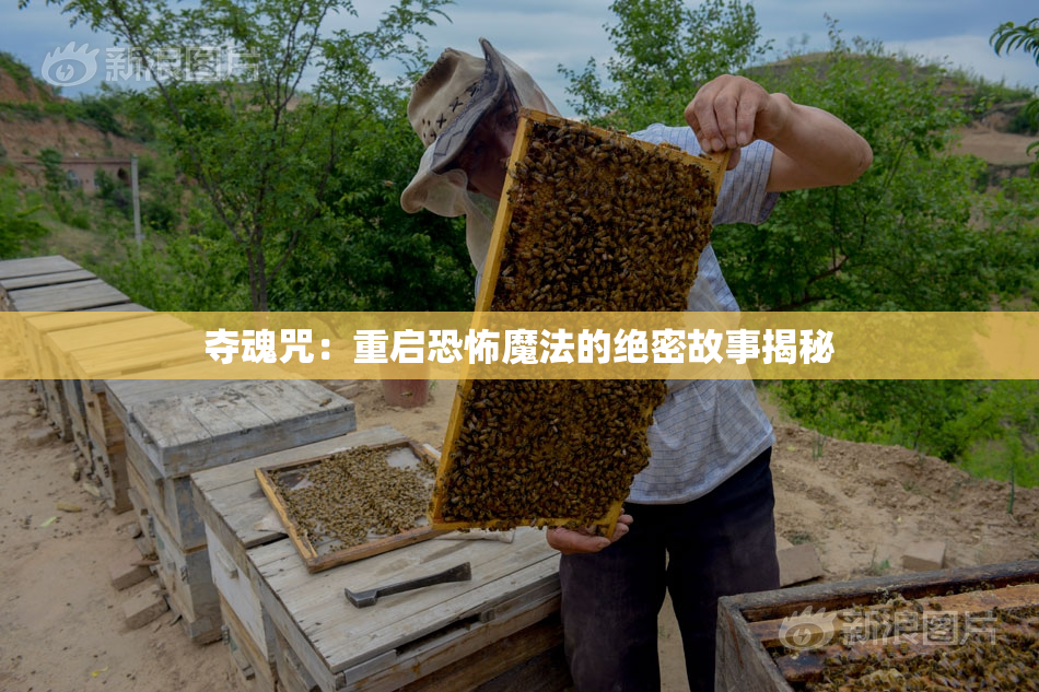 夺魂咒：重启恐怖魔法的绝密故事揭秘