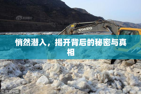 悄然潜入，揭开背后的秘密与真相