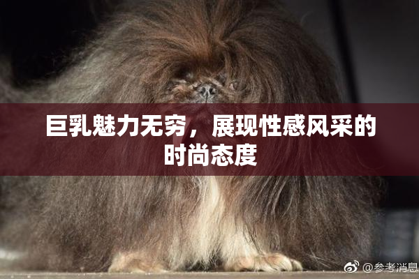 巨乳魅力无穷，展现性感风采的时尚态度
