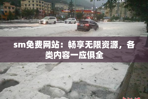 sm免费网站：畅享无限资源，各类内容一应俱全
