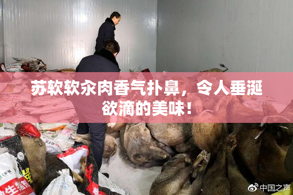 苏软软汆肉香气扑鼻，令人垂涎欲滴的美味！