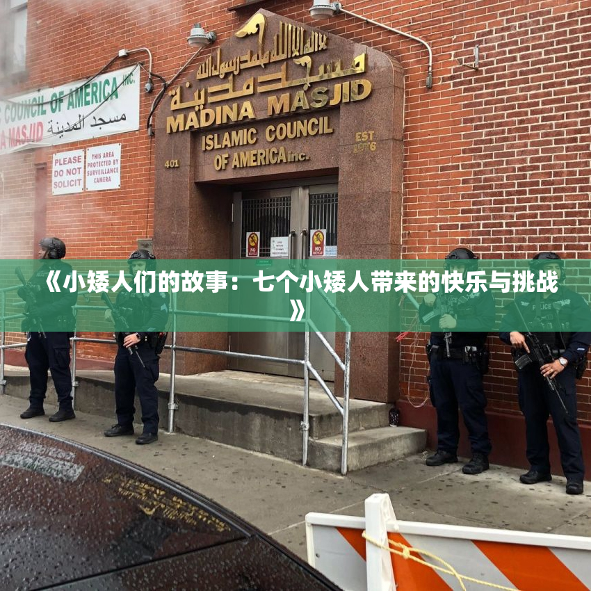 《小矮人们的故事：七个小矮人带来的快乐与挑战》