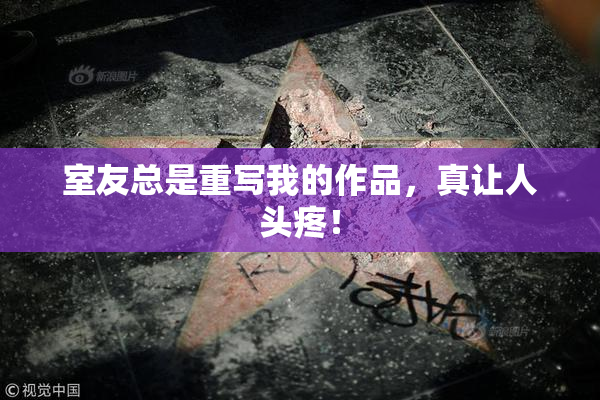 室友总是重写我的作品，真让人头疼！