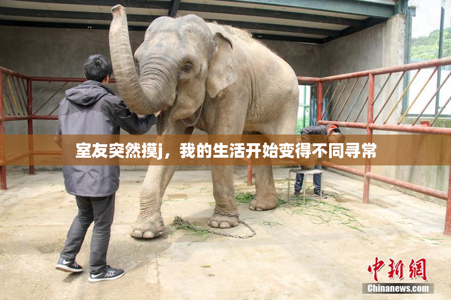 室友突然摸j，我的生活开始变得不同寻常