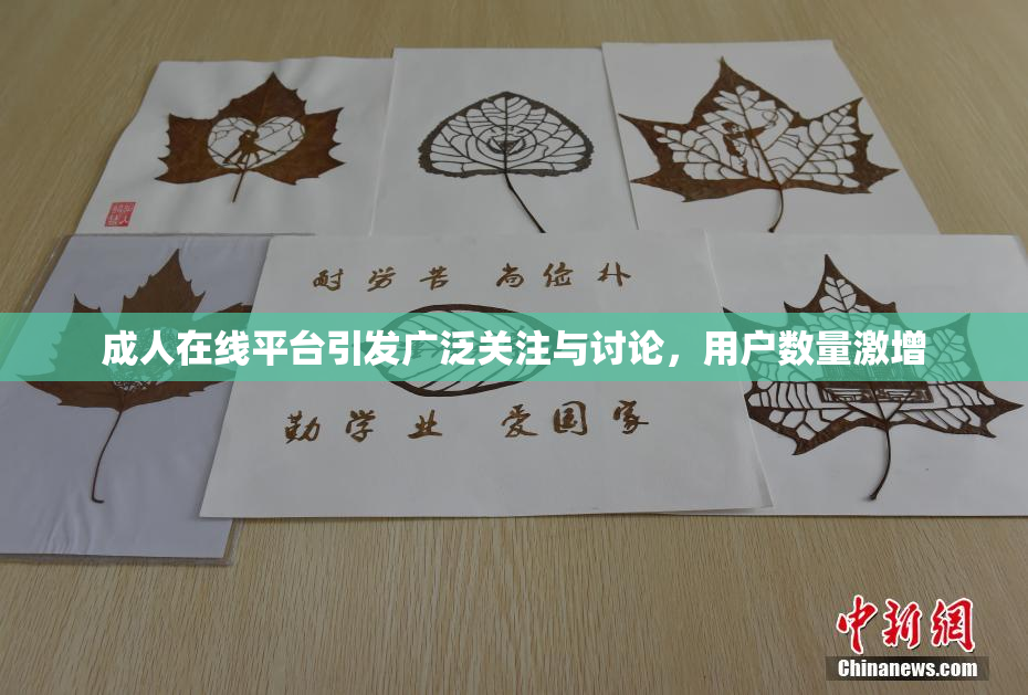 成人在线平台引发广泛关注与讨论，用户数量激增