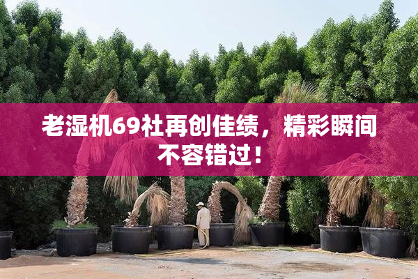老湿机69社再创佳绩，精彩瞬间不容错过！