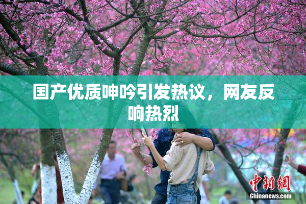 国产优质呻吟引发热议，网友反响热烈