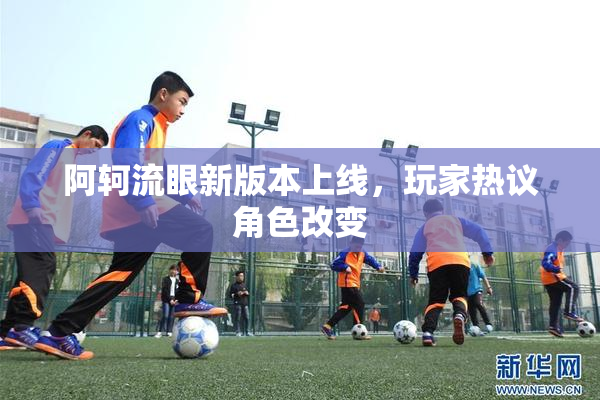 阿轲流眼新版本上线，玩家热议角色改变