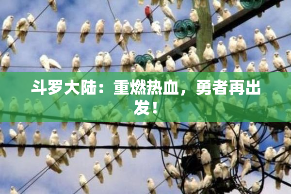 斗罗大陆：重燃热血，勇者再出发！