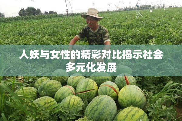 人妖与女性的精彩对比揭示社会多元化发展