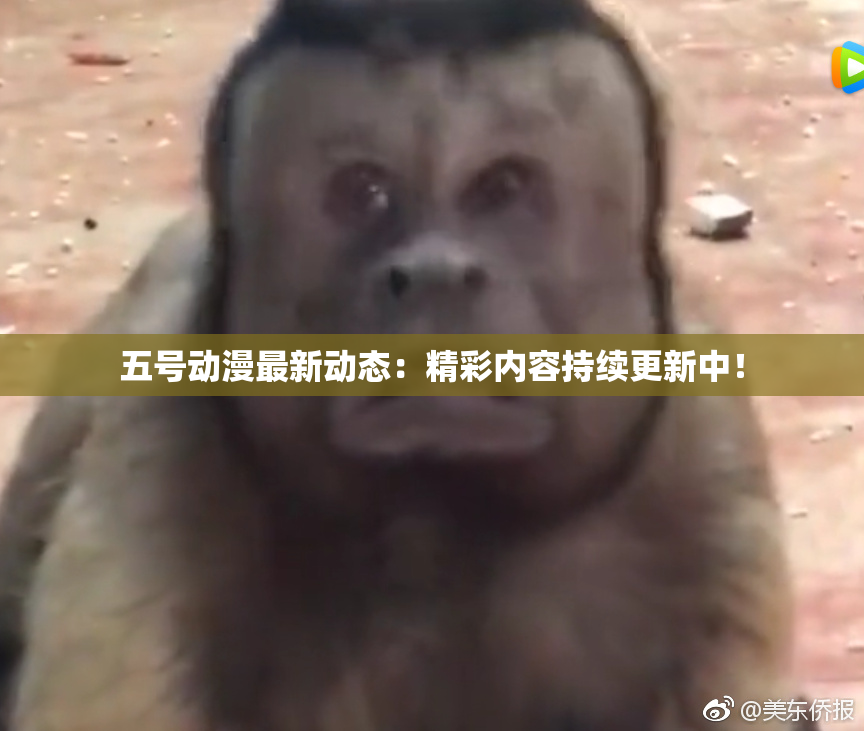 五号动漫最新动态：精彩内容持续更新中！