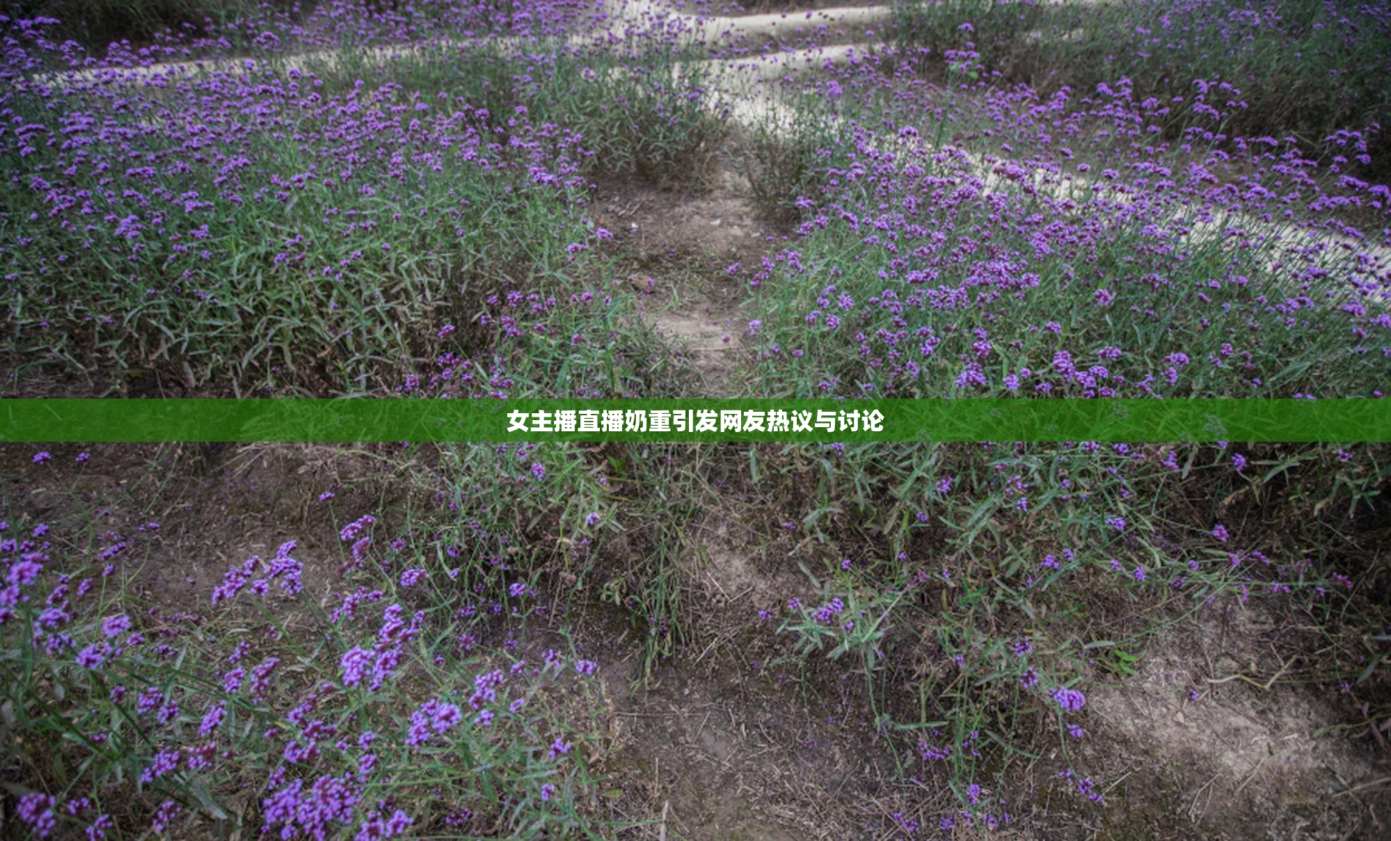 女主播直播奶重引发网友热议与讨论