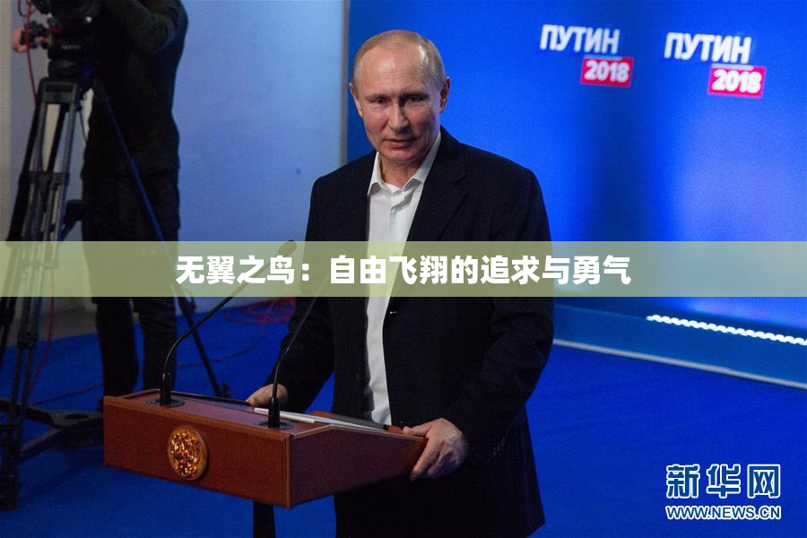 无翼之鸟：自由飞翔的追求与勇气