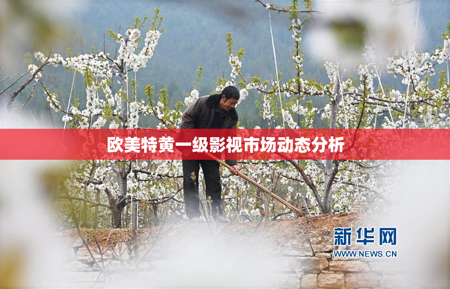 欧美特黄一级影视市场动态分析