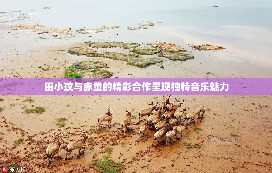 田小玟与赤重的精彩合作呈现独特音乐魅力