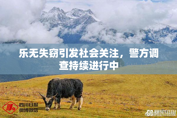 乐无失窃引发社会关注，警方调查持续进行中