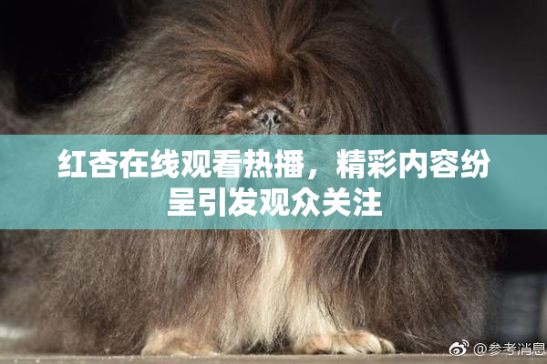 红杏在线观看热播，精彩内容纷呈引发观众关注