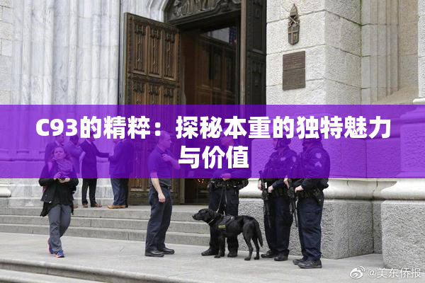 C93的精粹：探秘本重的独特魅力与价值