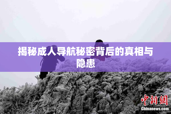 揭秘成人导航秘密背后的真相与隐患