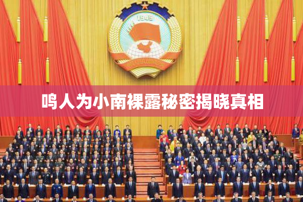 鸣人为小南裸露秘密揭晓真相