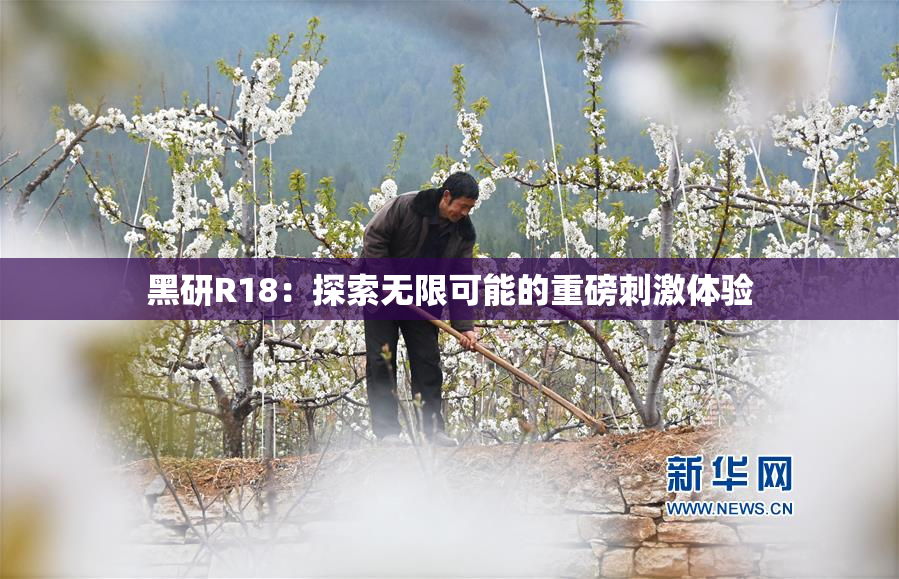 黑研R18：探索无限可能的重磅刺激体验