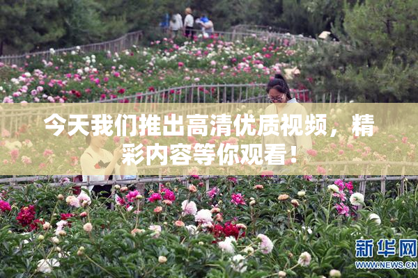 今天我们推出高清优质视频，精彩内容等你观看！