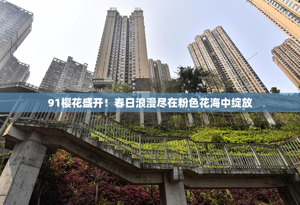 91樱花盛开！春日浪漫尽在粉色花海中绽放