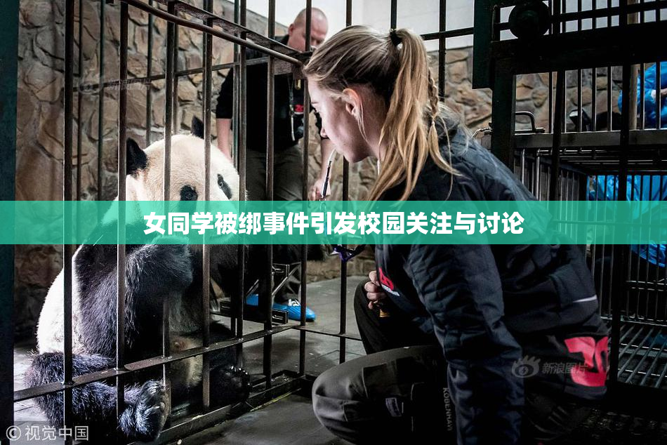 女同学被绑事件引发校园关注与讨论