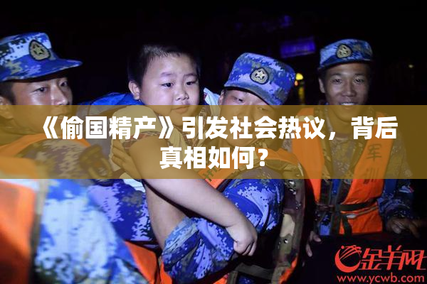 《偷国精产》引发社会热议，背后真相如何？